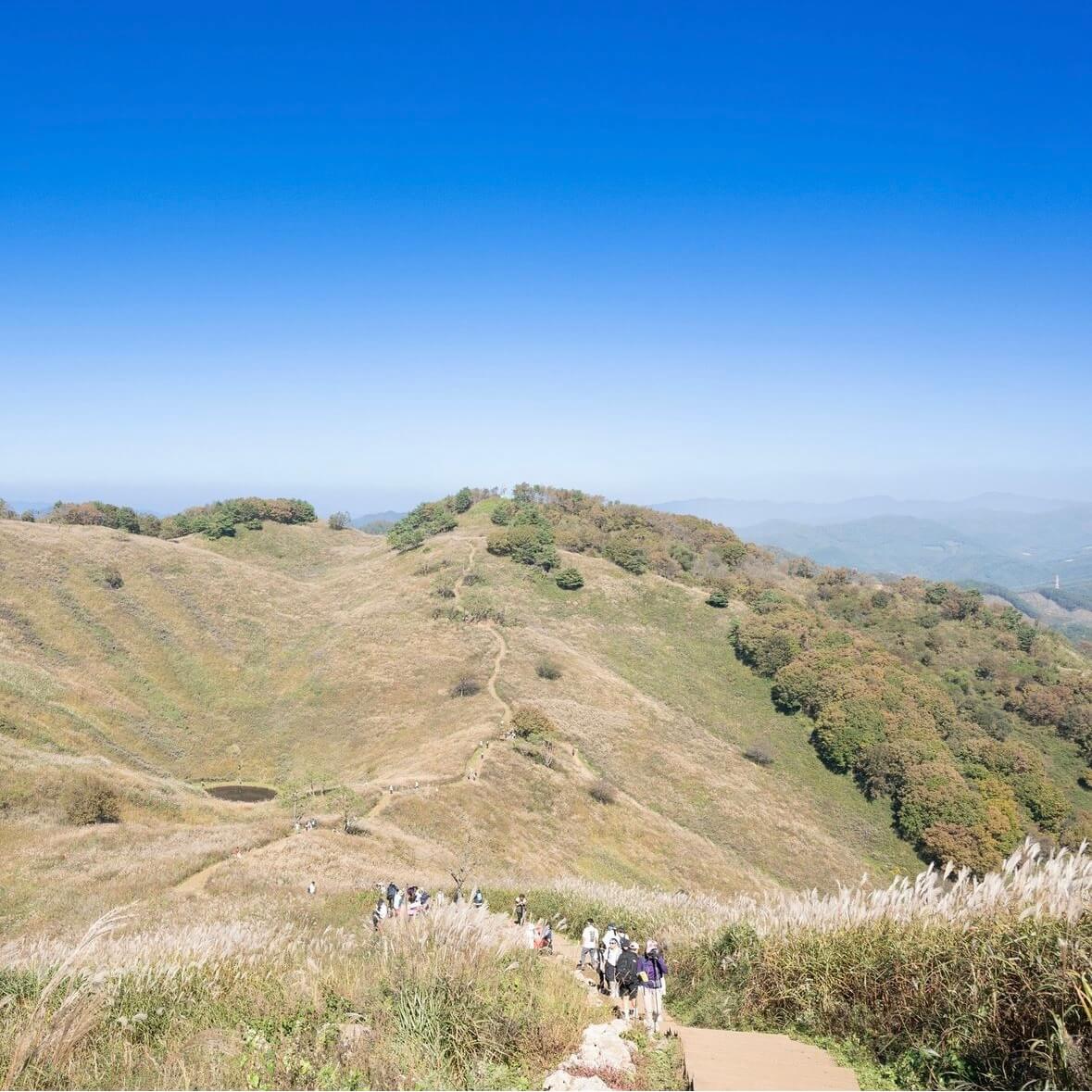 민둥산 억새꽃축제