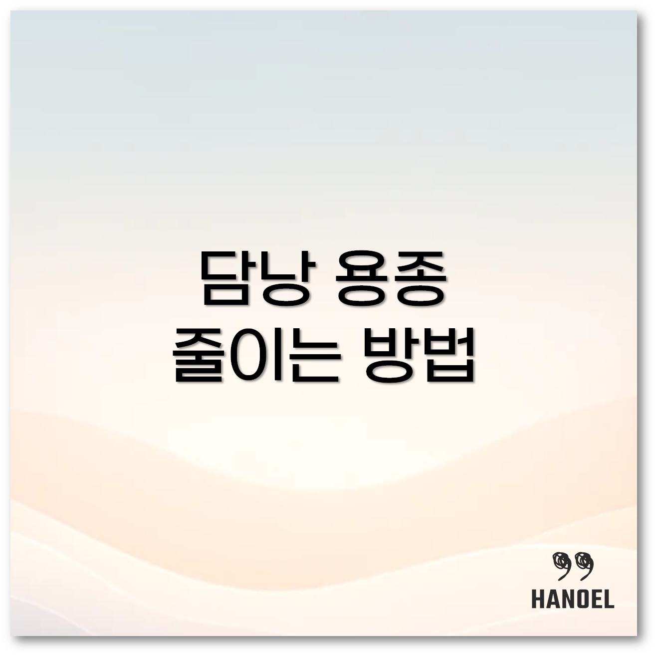 담낭 용종1