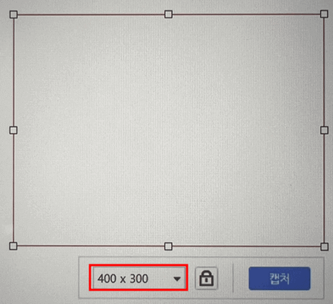 크기 지정 캡쳐