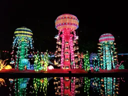 2025 여름 해수욕장 개장 일정 지역별
