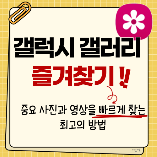 제목 이미지 : 갤러리 즐겨찾기