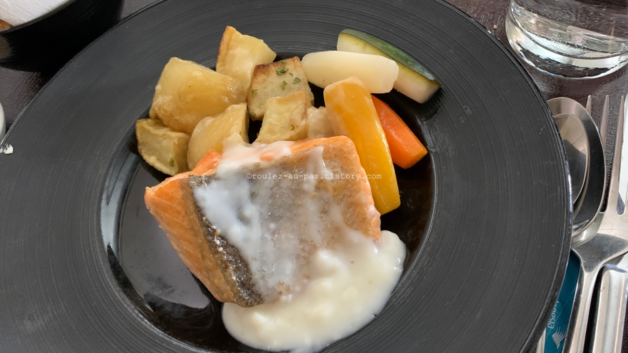 GA866-BUSINESS CLASS-FLIGHT MEAL-SALMON