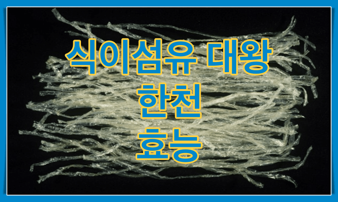 한천 썸네일