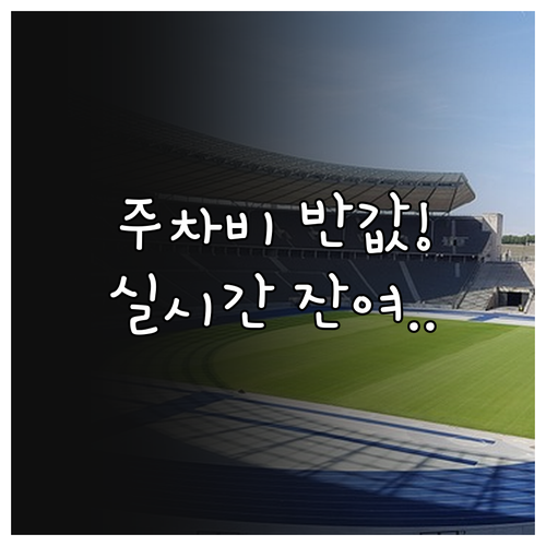 잠실야구장 주차비 할인 대상과 실시간..