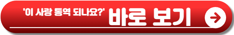 이 사랑 통역 되나요?