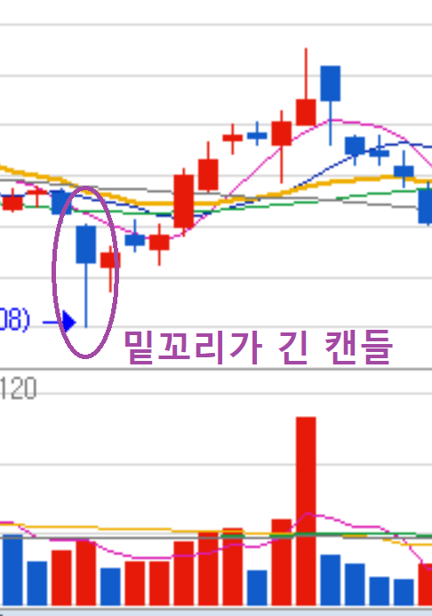 밑꼬리가 긴 음봉 캔들