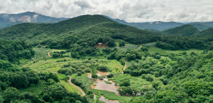 문경 돌리네습지