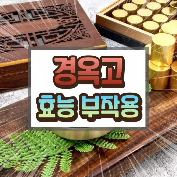 경옥고 효능 부작용