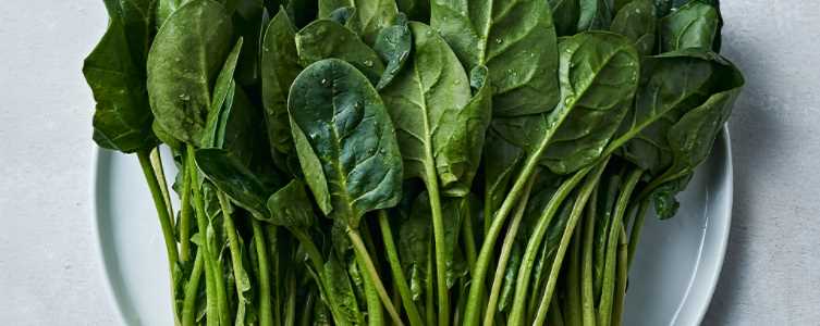 혈압 낮추는 음식 - 시금치