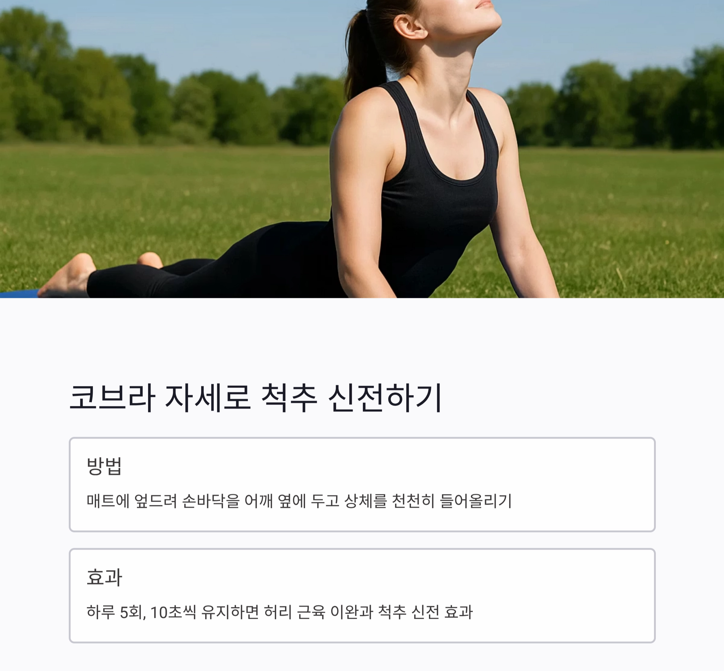 허리 통증 완화에 탁월한 스트레칭과 운동법 모음