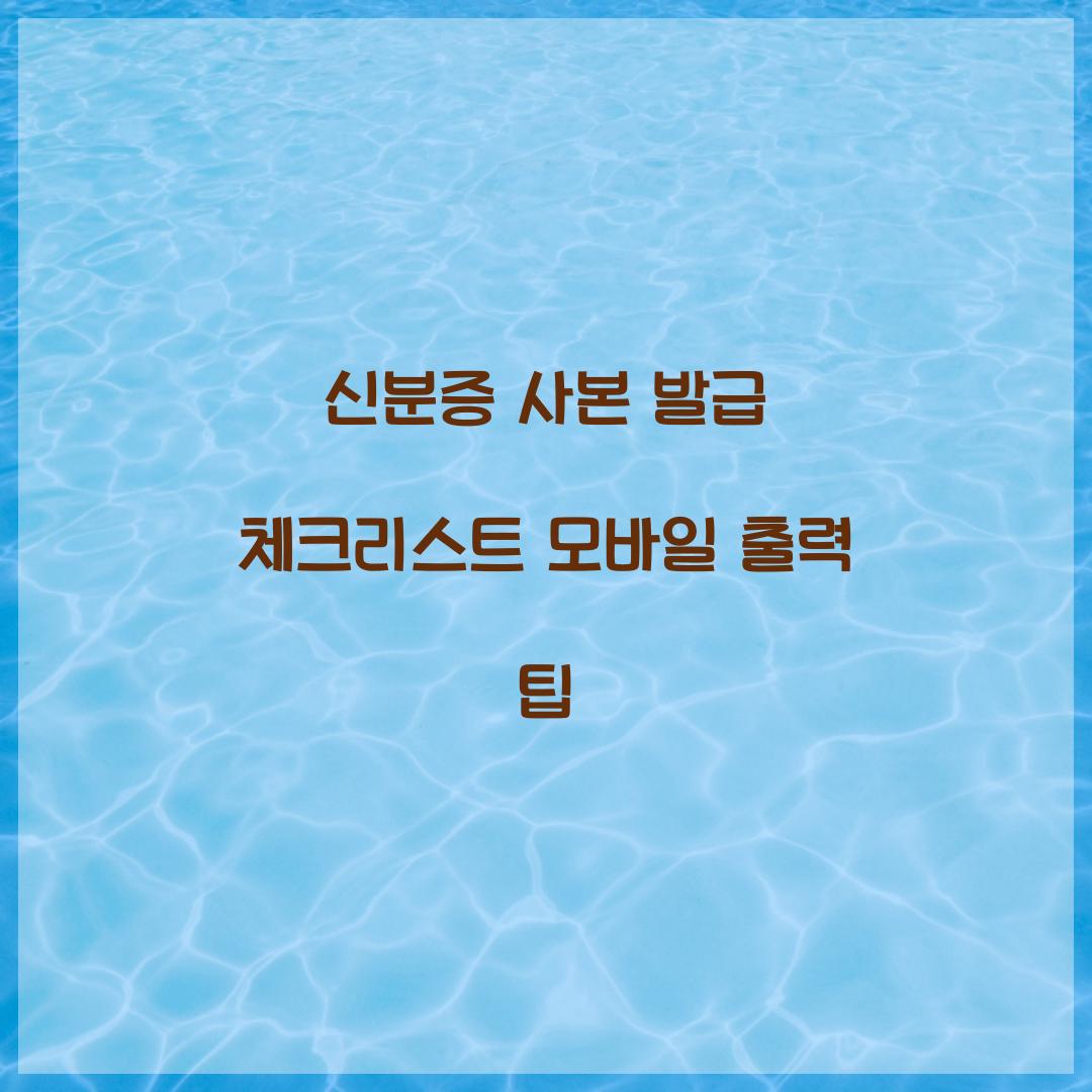 신분증 사본 발급