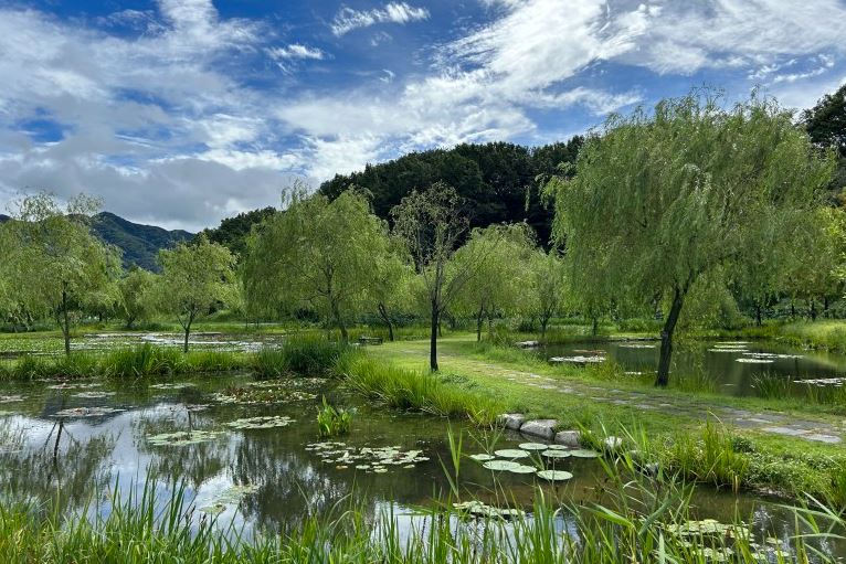 나는솔로 17기 촬영지