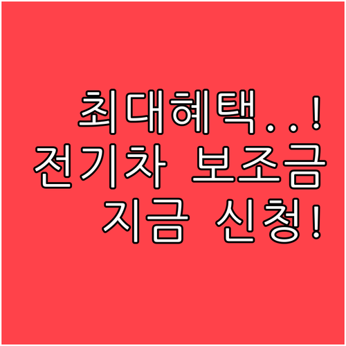 소상공인 다자녀 가구 전기차 추가 보..