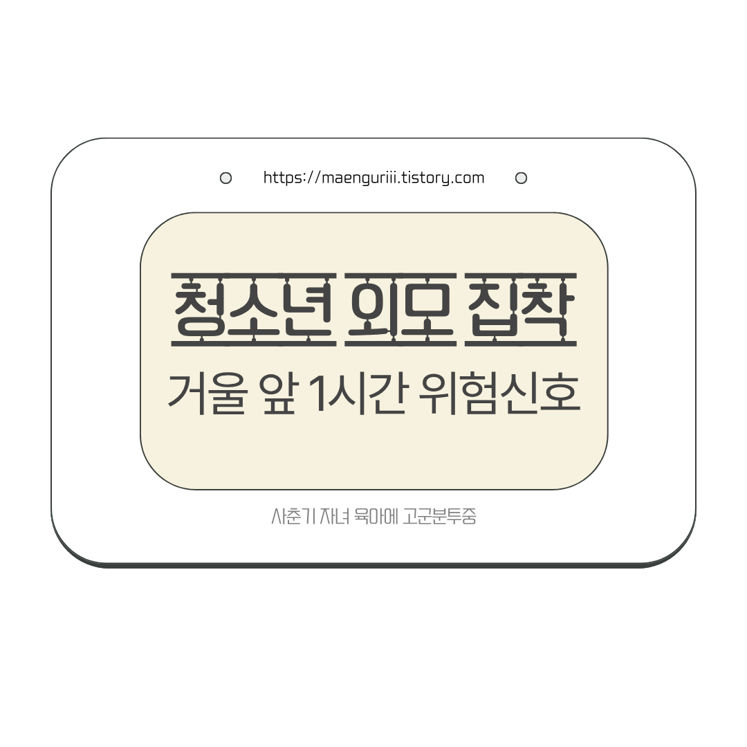 거울 앞에서 1시간, 청소년 외모집착 위험신호