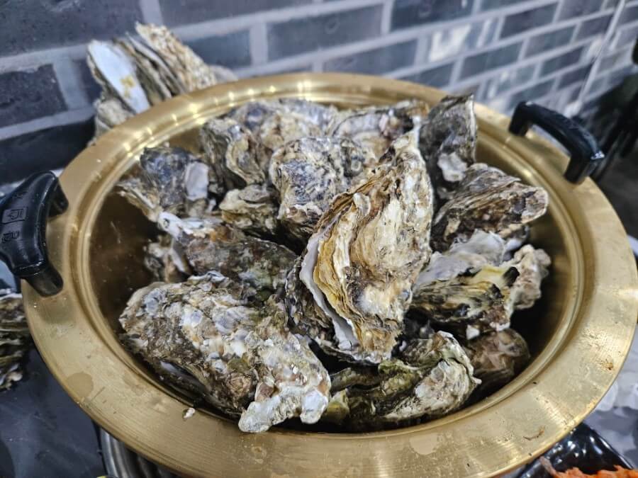 생생정보통 홍게무한리필 굴찜무한리필 가격파괴why