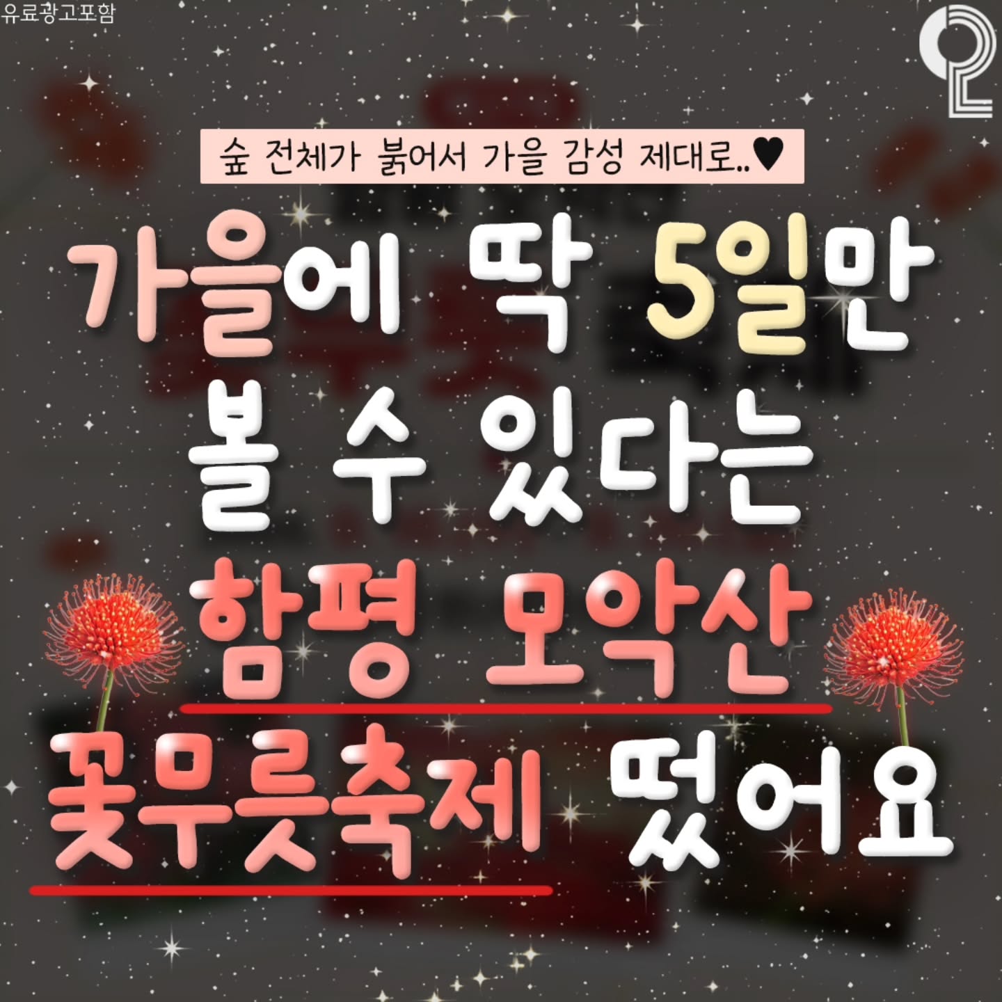 함평모악산 꽃무릇축제 살펴보기 3