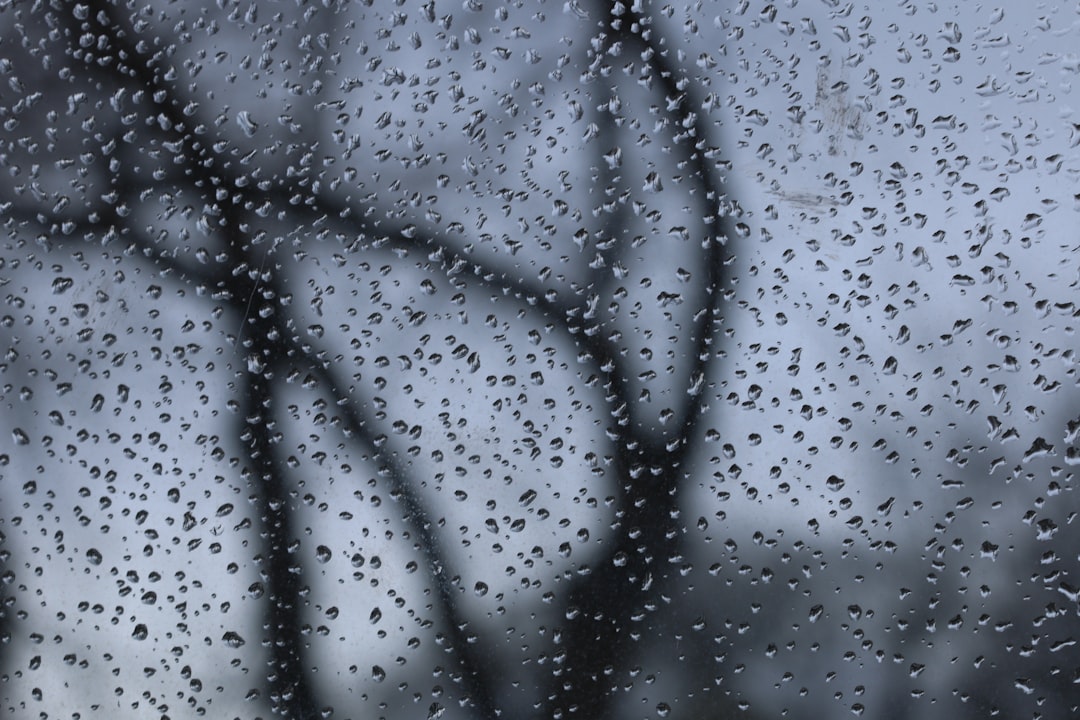 Humidity