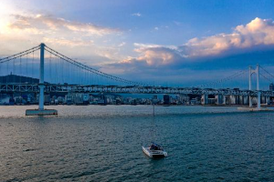 광안대교를 배경으로 요트 위에 앉은 반려견과 보호자