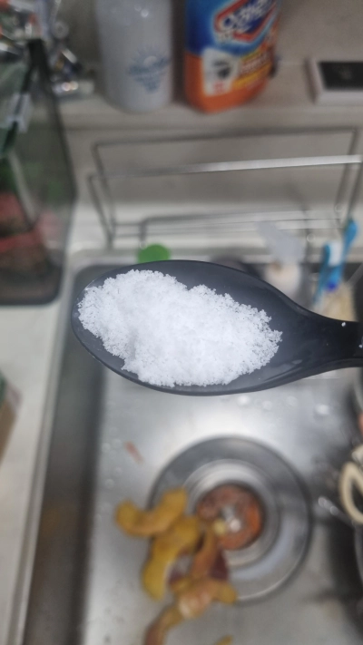 브라인쉬림프 에그 부화기 급여 및 보관 방법 가격 후기