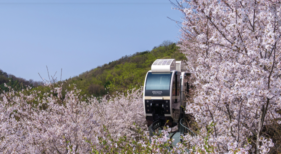 곤지암 화담숲 예약