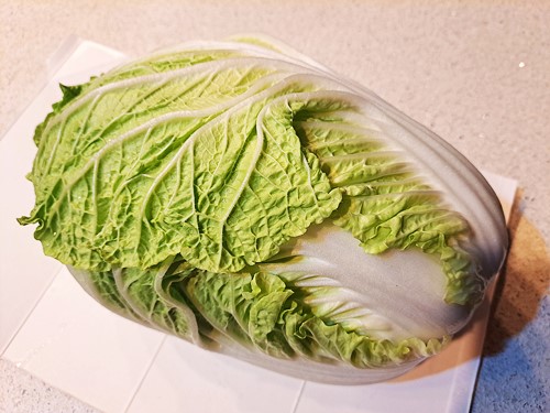 배추