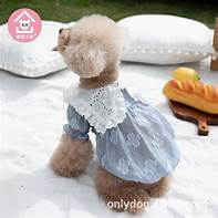 반려견 여름옷 선택방법 및 추천 TOP5