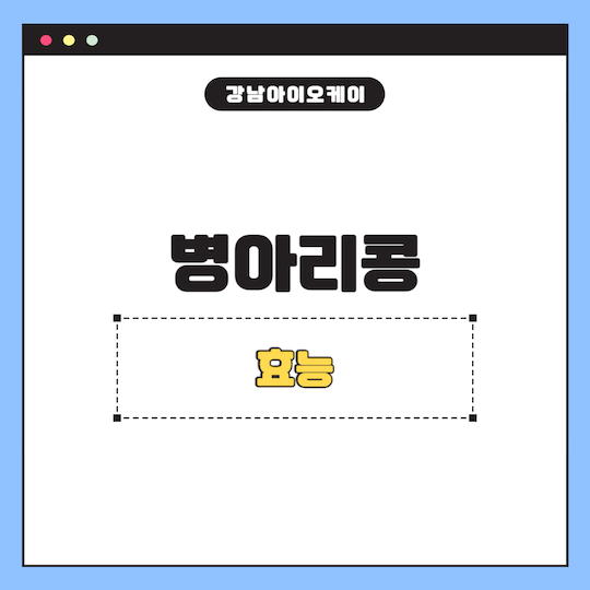 병아리콩효능