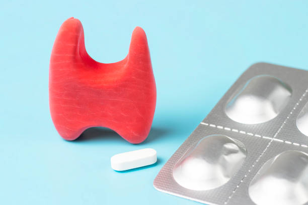 갑상선항진증의 원인과 증상