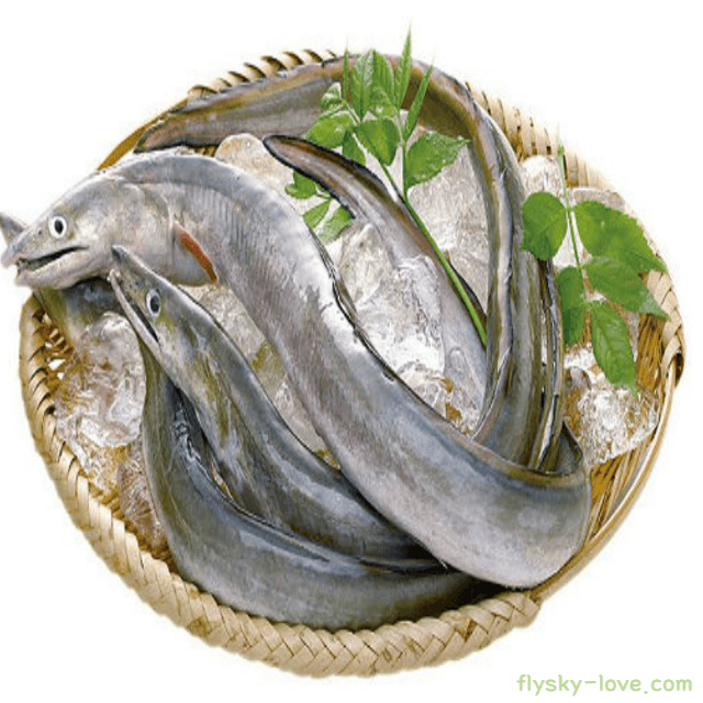 여름 보양식 갯장어