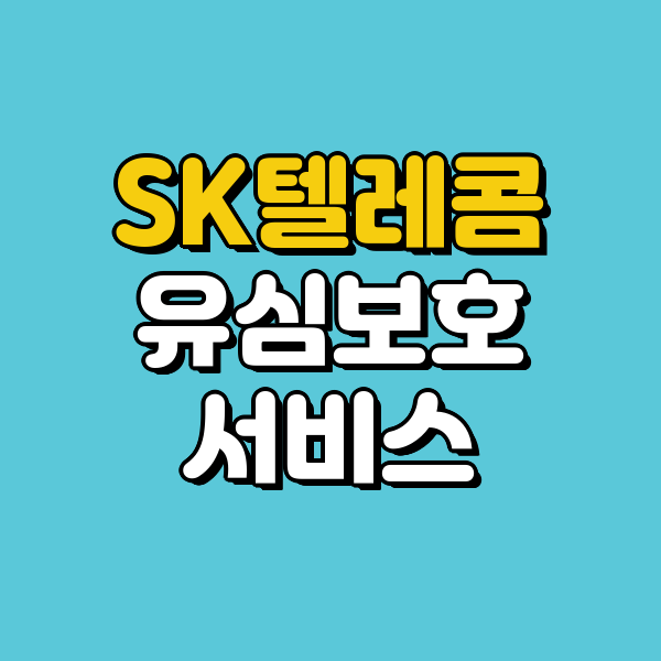 sk 텔레콤 유심보호 서비스