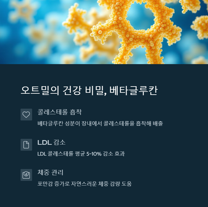 심장내과 의사도 놀란 고지혈증 극복법, '이 한가지' 식단만 바꿔도 수치가 뚝! - 고지혈증이란 정확히 무엇인가요? 심장내과 의사도 놀란 고지혈증 극복법, '이 한가지' 식단만 바꿔도 수치가 뚝! - 고지혈증이란 정확히 무엇인가요?