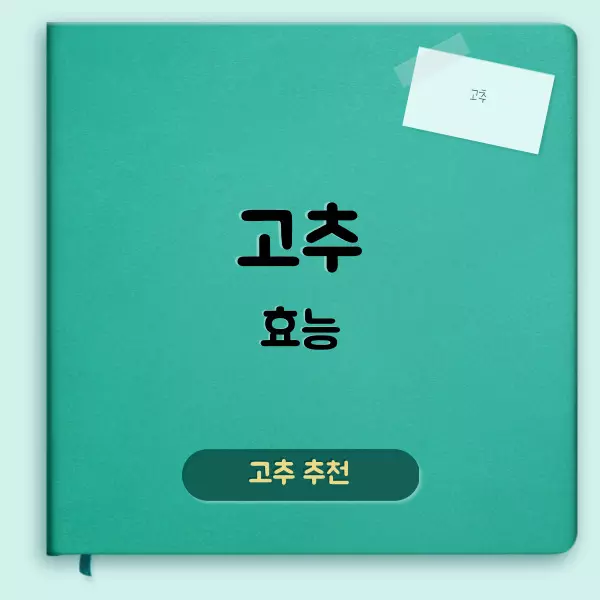 고추 효능에 대하여