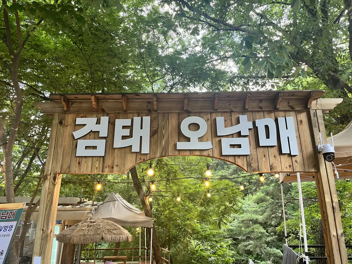 계곡-앞-검태-오남매-나무-간판