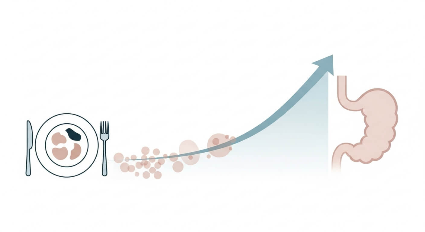 3. 식이섬유: 혈당 흡수 속도를 늦추는 완충 역할