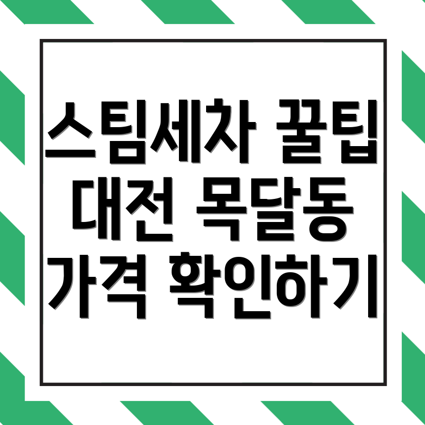 대전 스팀세차