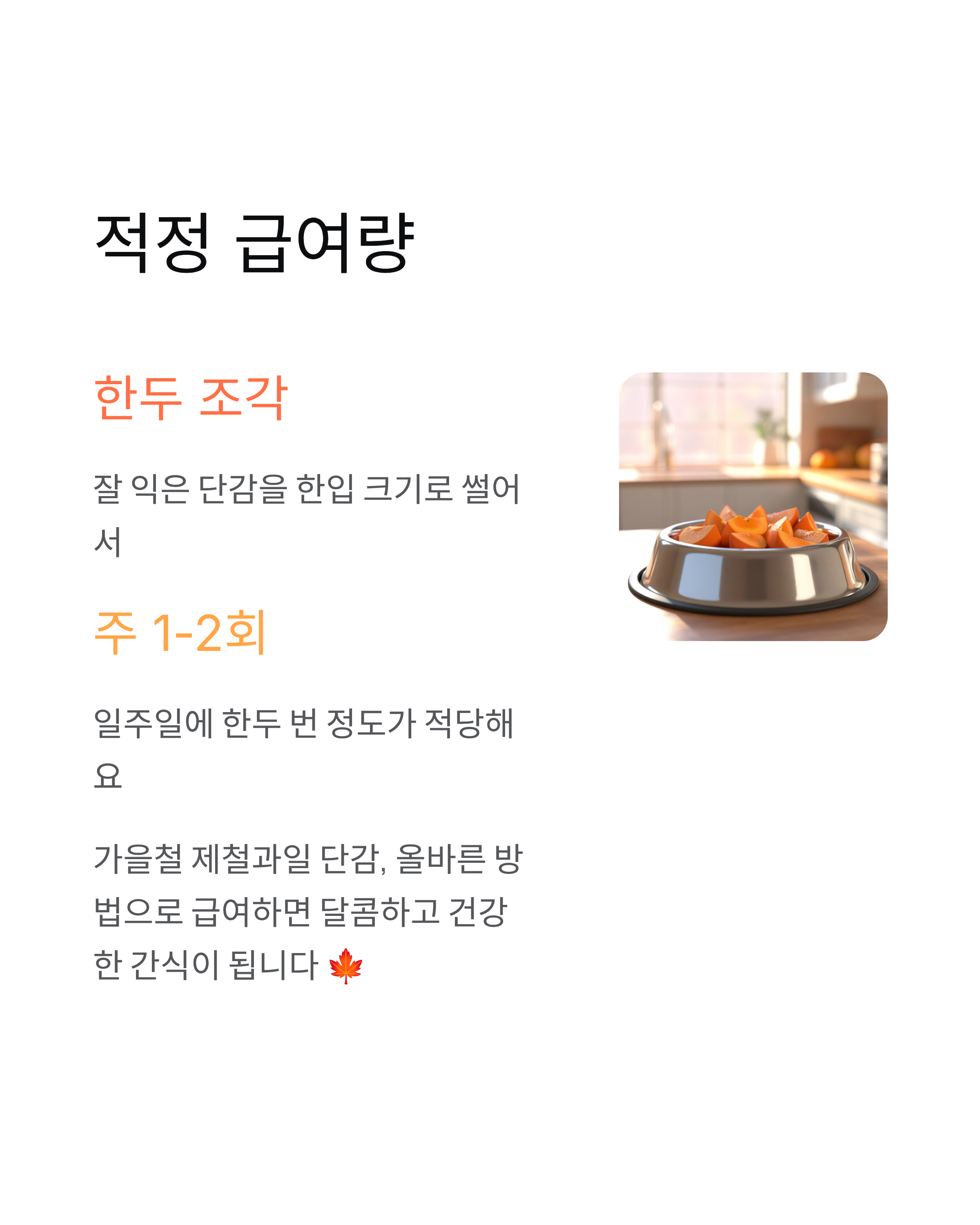 강아지 단감 먹어도 될까? 안전한 급여법과 주의사항 완전 정리 🍊