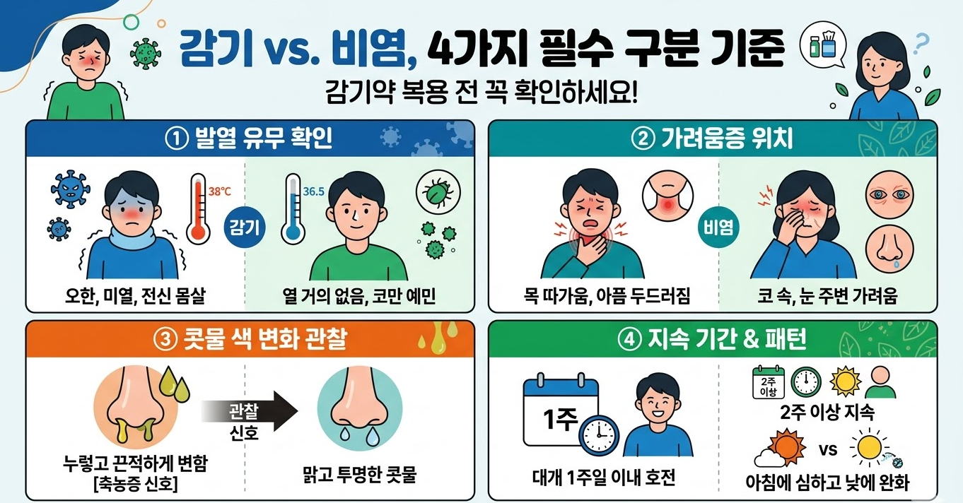 감기와 비염을 구분하는 4가지 기준을 설명하는 의료 인포그래픽