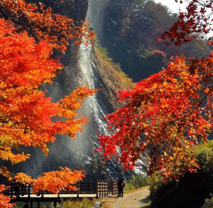 순창 강천산 단풍