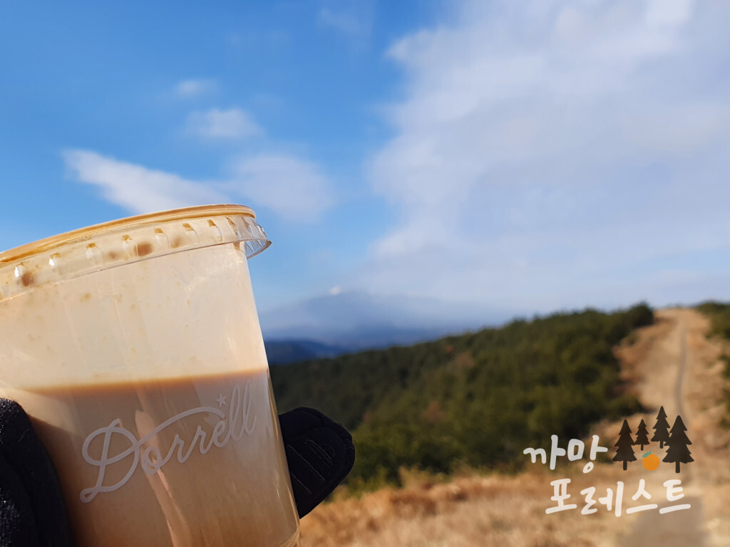 성산 도렐 커피