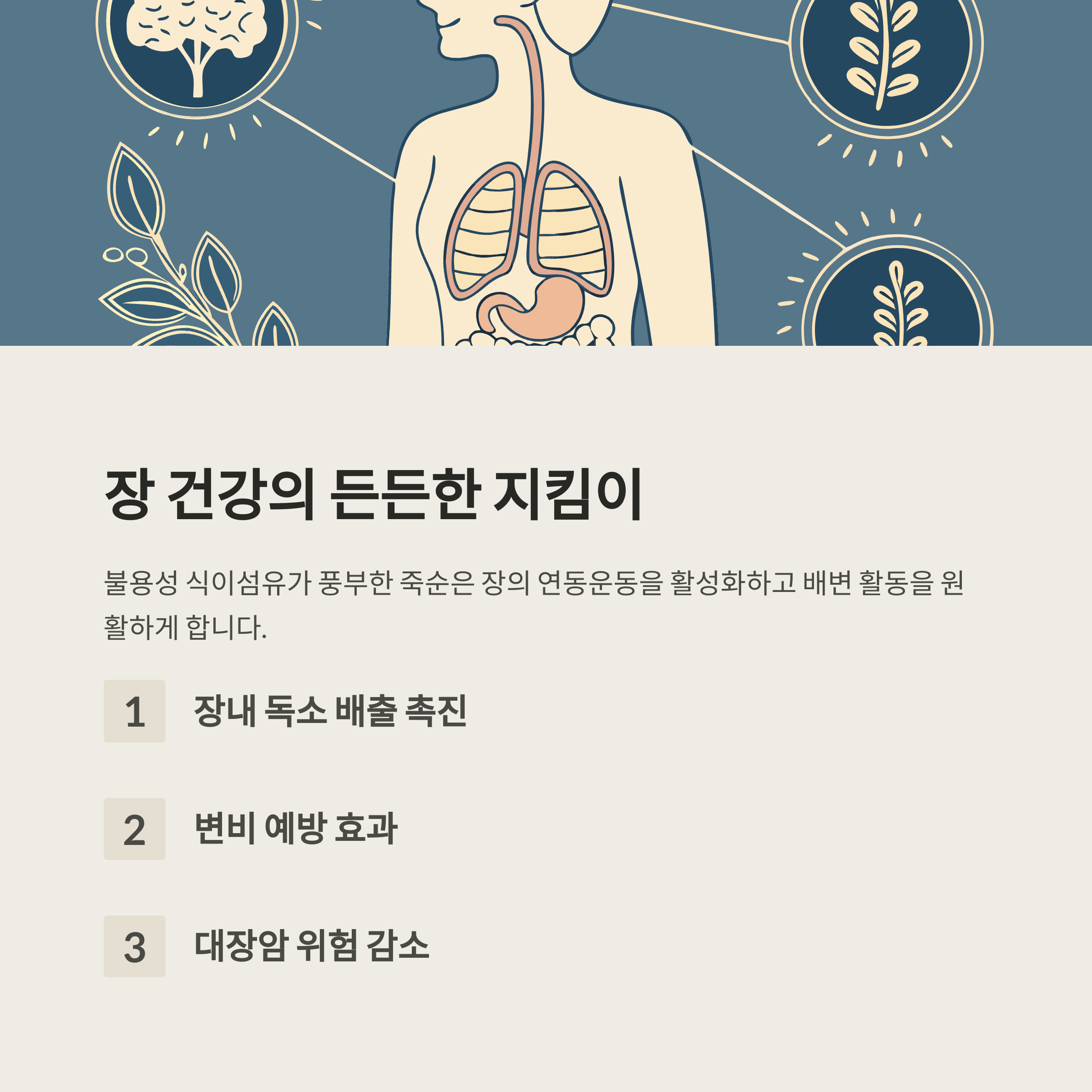 풍부한 식이섬유로 장 건강 개선