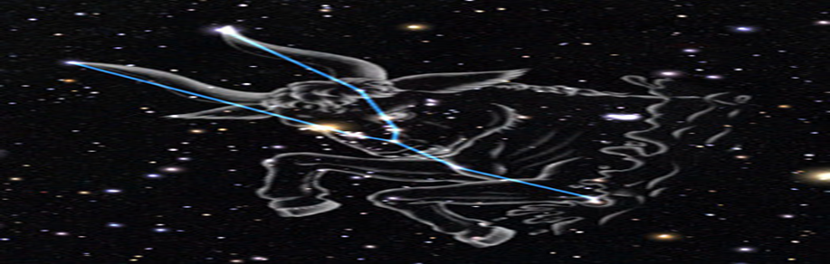 별자리 - 황소자리