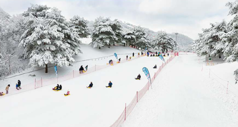 스노위랜드 비발디파크 눈썰매장