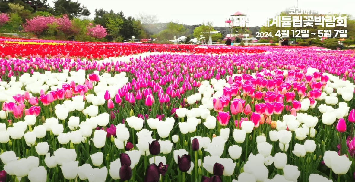 봄꽃여행지추천 4월 충청지역여행지추천