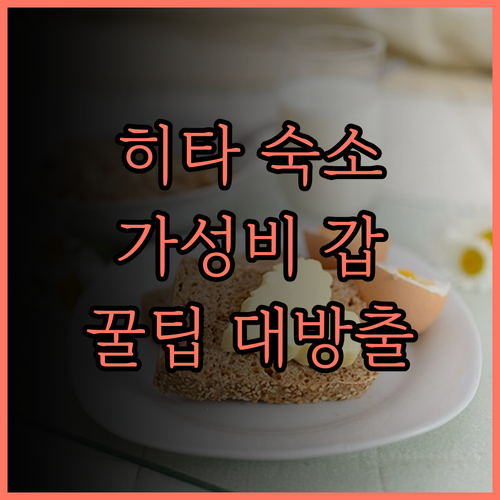 히타 여행 필수 코스 플라자 호텔 후