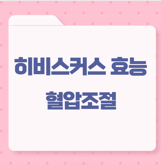 히비스커스 효능 혈압조절