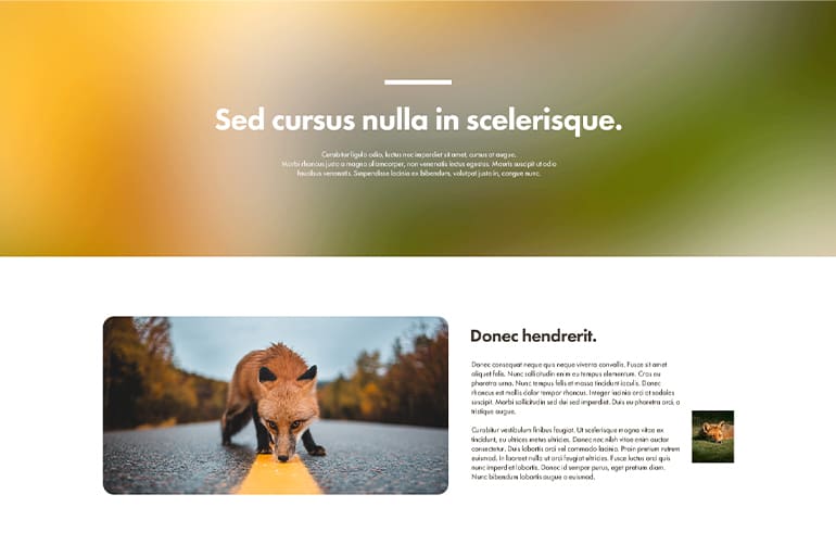 포토샵 용량 줄이기 예시 이미지