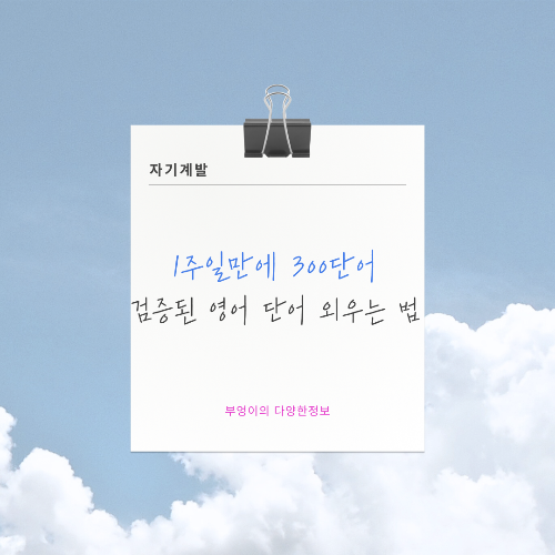 1주일만에 300단어? 검증된 영어 단어 외우는 법