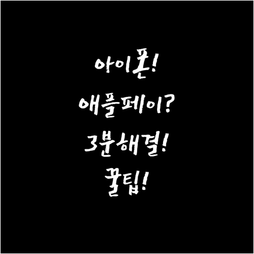 아이폰 애플페이 서버 오류 3분 해결..