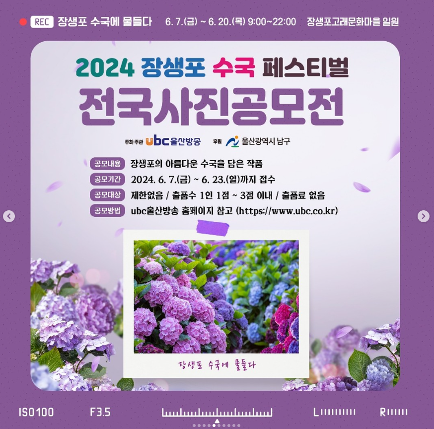 장생포 수국축제