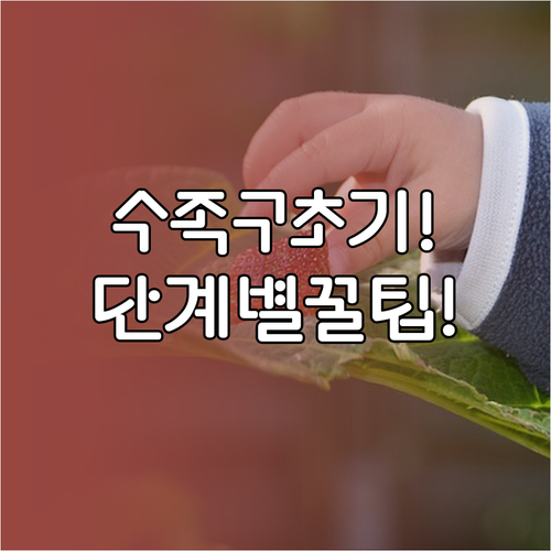 수족구 초기 증상 순서와 단계별 대처..